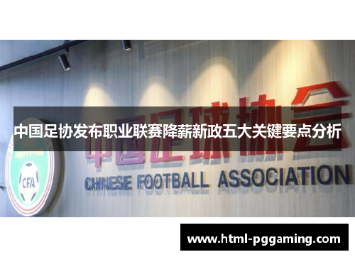 中国足协发布职业联赛降薪新政五大关键要点分析