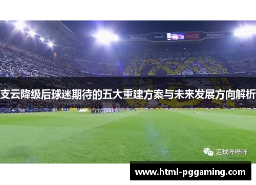 支云降级后球迷期待的五大重建方案与未来发展方向解析