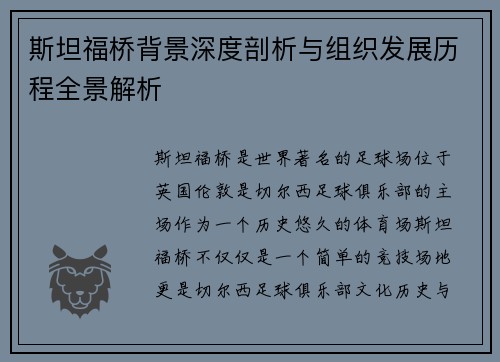 斯坦福桥背景深度剖析与组织发展历程全景解析